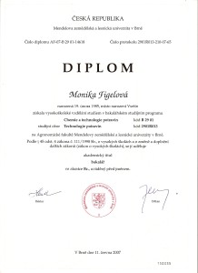 Diplom 1