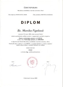 Diplom 2